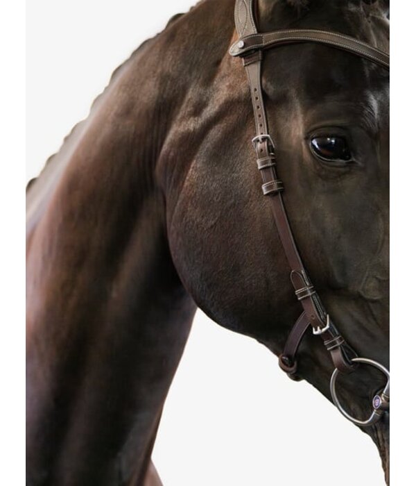 PS of Sweden Hoofdstel Helsinki - PS of Sweden