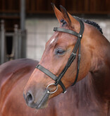 Velocity Lusso Velociti LUSSO Elite Hunter Hoofdstel NEW