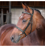 Velocity Lusso Velociti LUSSO Elite Hunter Hoofdstel NEW