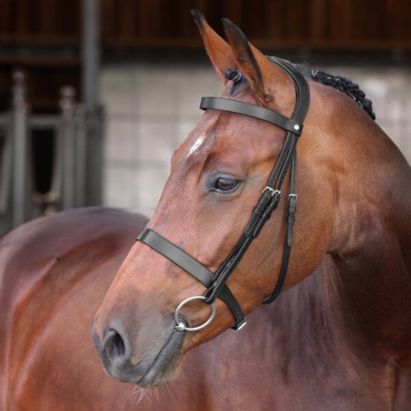 Velociti LUSSO Elite Hunter Hoofdstel NEW