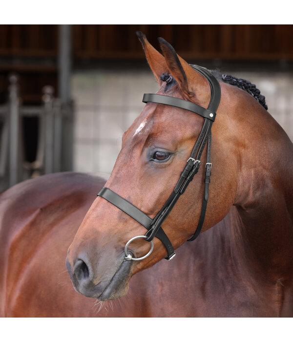 Velocity Lusso Velociti LUSSO Elite Hunter Hoofdstel NEW