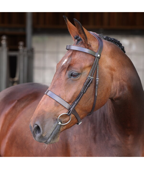 Velocity Lusso Velociti LUSSO Elite Hunter Hoofdstel NEW