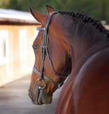 Velocity Lusso Velociti LUSSO Elite Hunter Hoofdstel NEW