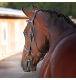 Velocity Lusso Velociti LUSSO Elite Hunter Hoofdstel NEW