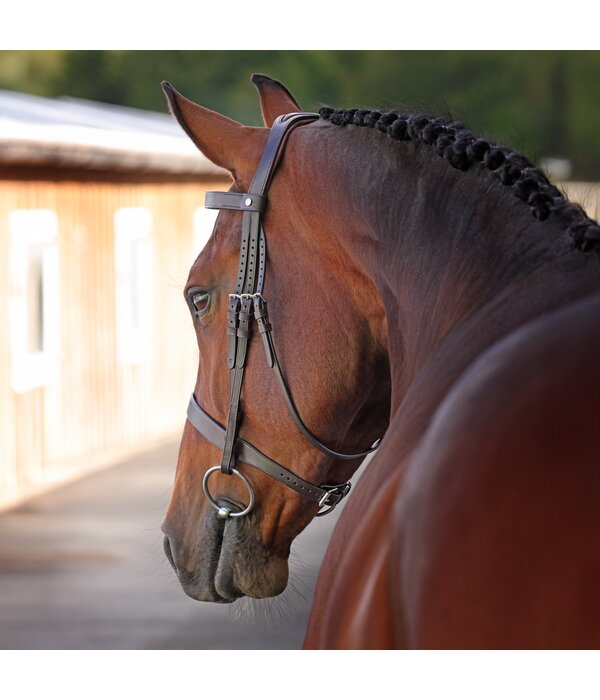 Velocity Lusso Velociti LUSSO Elite Hunter Hoofdstel NEW