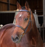 Velocity Lusso Velociti LUSSO Elite Hunter Hoofdstel NEW