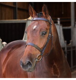 Velocity Lusso Velociti LUSSO Elite Hunter Hoofdstel NEW