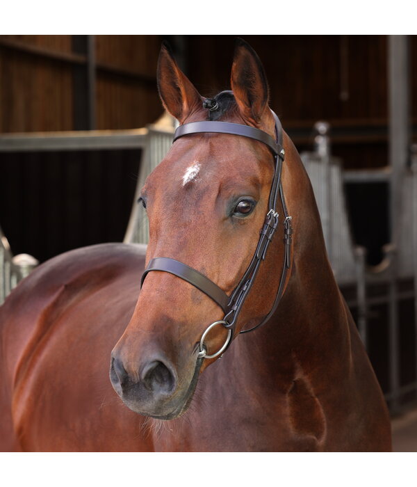 Velocity Lusso Velociti LUSSO Elite Hunter Hoofdstel NEW