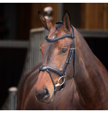 Velocity Lusso Velociti LUSSO Elite Flash Hoofdstel