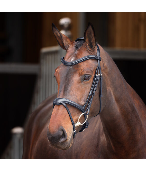 Velocity Lusso Velociti LUSSO Elite Flash Hoofdstel