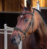 Velocity Lusso Velociti LUSSO Elite Flash Hoofdstel