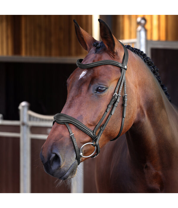 Velocity Lusso Velociti LUSSO Elite Flash Hoofdstel