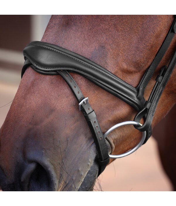 Velocity Lusso Velociti LUSSO Elite Flash Hoofdstel