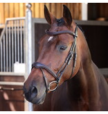 Velocity Lusso Velociti LUSSO Elite Flash Hoofdstel