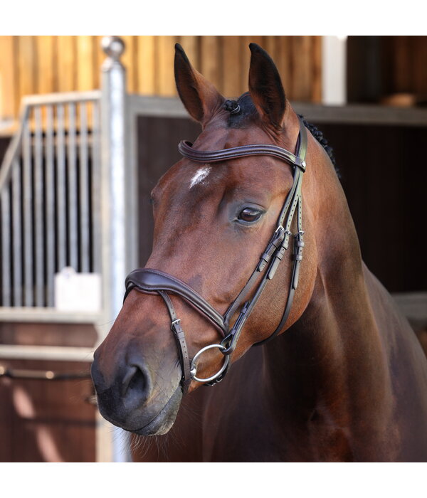 Velocity Lusso Velociti LUSSO Elite Flash Hoofdstel