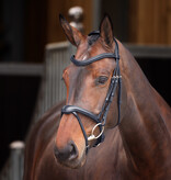 Velocity Lusso Velociti LUSSO Elite Flash Hoofdstel