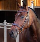 Velocity Lusso Velociti LUSSO Elite Flash Hoofdstel