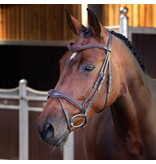 Velocity Lusso Velociti LUSSO Elite Flash Hoofdstel