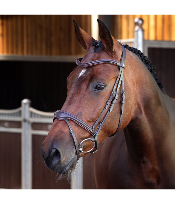 Velocity Lusso Velociti LUSSO Elite Flash Hoofdstel