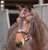 Velocity Lusso Velociti LUSSO Elite Flash Hoofdstel