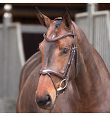 Velocity Lusso Velociti LUSSO Elite Flash Hoofdstel