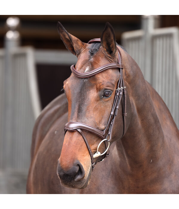 Velocity Lusso Velociti LUSSO Elite Flash Hoofdstel