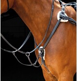 Salisbury Salisbury Vijfpunts Borsttuig