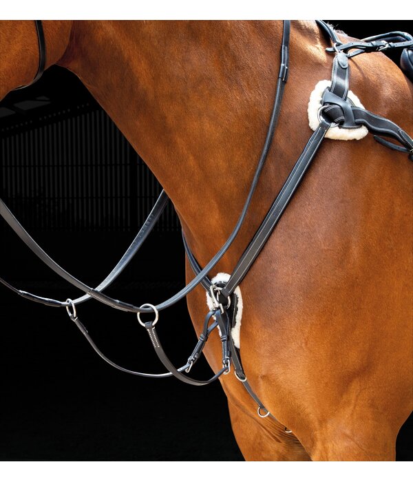 Salisbury Salisbury Vijfpunts Borsttuig