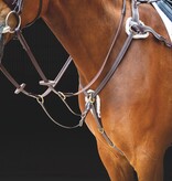 Salisbury Salisbury Vijfpunts Borsttuig