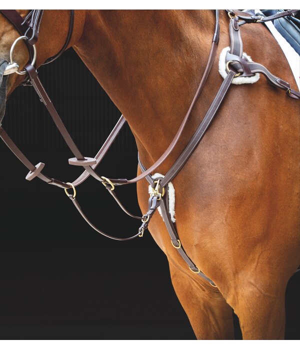 Salisbury Salisbury Vijfpunts Borsttuig