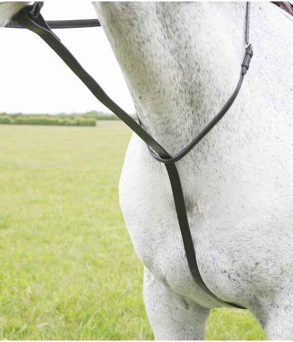 Blenheim Blenheim Standing Martingaal
