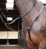 Aviemore Velociti Gara Hunt zwaar Borsttuig voorheen het Aviemore-assortiment.