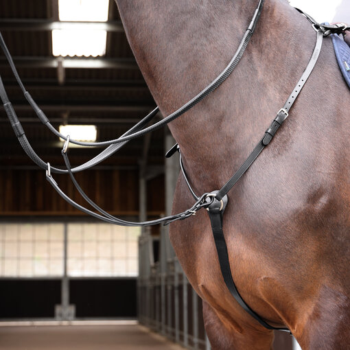 Aviemore Velociti Gara Hunt zwaar Borsttuig voorheen het Aviemore-assortiment.