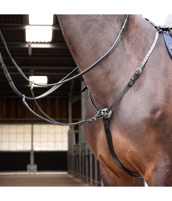 Aviemore Velociti Gara Hunt zwaar Borsttuig voorheen het Aviemore-assortiment.