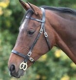 Velocity Gara Velociti GARA Plain voorbreng/show Hoofdstel met een platte neusriem en frontriem.