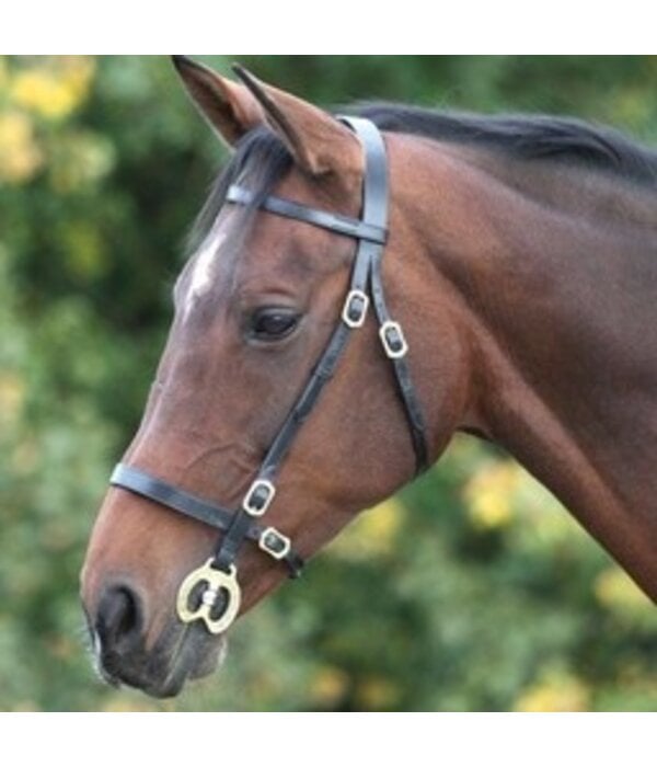 Velocity Gara Velociti GARA Plain voorbreng/show Hoofdstel met een platte neusriem en frontriem.