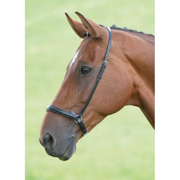 Velociti GARA Lage Neusriem (Drop Noseband)