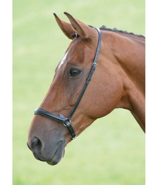 Velocity Gara Velociti GARA Lage Neusriem (Drop Noseband)