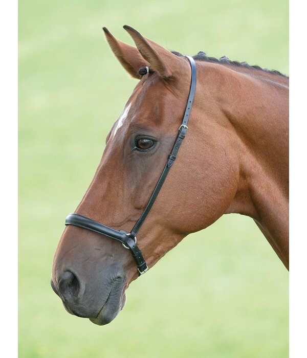 Velocity Gara Velociti GARA Lage Neusriem (Drop Noseband)