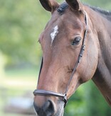 Velocity Gara Velociti GARA Lage Neusriem (Drop Noseband)