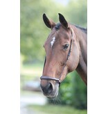 Velocity Gara Velociti GARA Lage Neusriem (Drop Noseband)