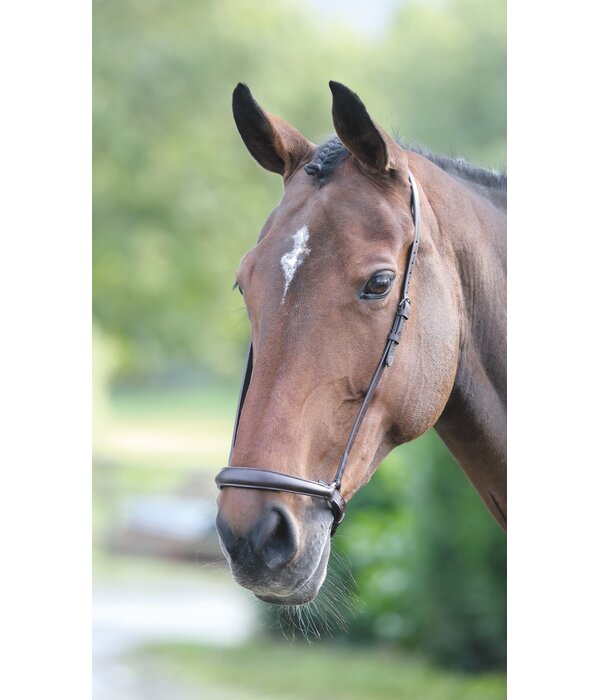 Velocity Gara Velociti GARA Lage Neusriem (Drop Noseband)