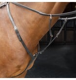 Velocity Rapida  Shires Velociti RAPIDA Borsttuig met Running Martingaal