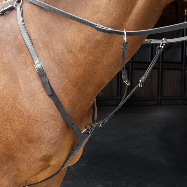 Shires Velociti RAPIDA Borsttuig met Running Martingaal