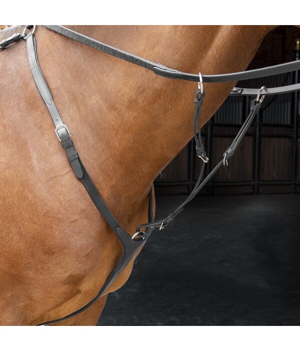 Velocity Rapida  Shires Velociti RAPIDA Borsttuig met Running Martingaal