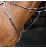 Velocity Rapida  Shires Velociti RAPIDA Borsttuig met Running Martingaal