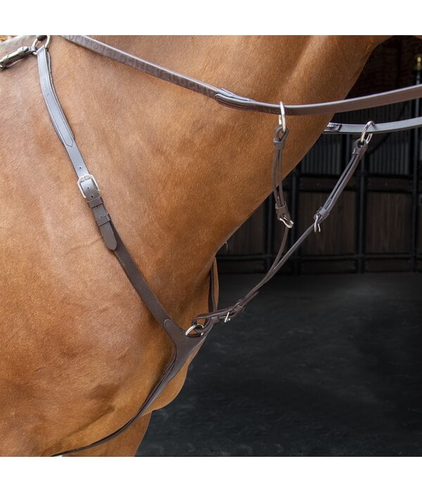 Velocity Rapida  Shires Velociti RAPIDA Borsttuig met Running Martingaal