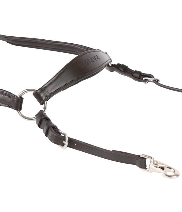 Velocity Rapida  Shires Velociti RAPIDA Borsttuig met Running Martingaal