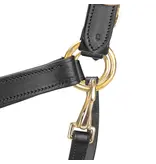 Velocity Gara Velociti GARA lederen (reis) halster