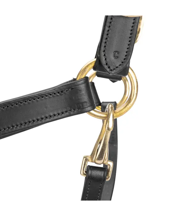 Velocity Gara Velociti GARA lederen (reis) halster